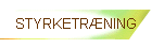 STYRKETRÆNING