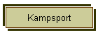 Kampsport