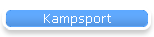 Kampsport