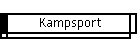 Kampsport