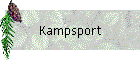 Kampsport