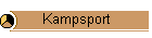 Kampsport