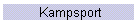 Kampsport