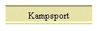 Kampsport