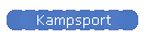 Kampsport