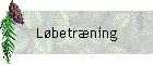 Lbetrning