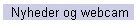 Nyheder og webcam