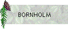 BORNHOLM